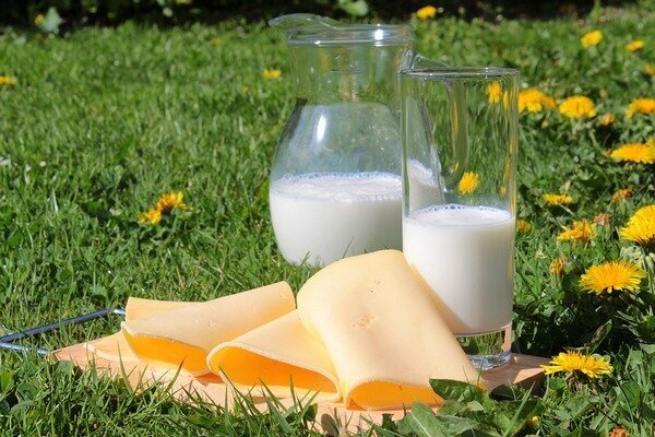 Barn serveras bäst med både mjölk och ost (Foto: Pixabay.com) 
