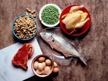 Den farligare protein diet