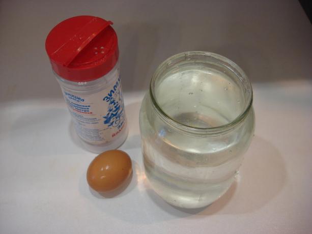 Foto av författaren (salt, en burk med vatten, ägg, bläddra till höger)