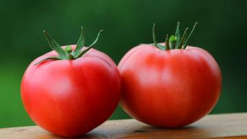 Tomater: blodförtunnande, bota högt blodtryck, diabetes och även onkologi