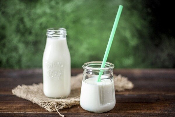 Fermenterade mjölkprodukter - Probiotiska leverantörer (Foto: Pixabay.com)