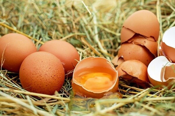 Ägg bör inte ätas färska, eftersom detta hotar utseendet av parasiter i kroppen (Foto: Pixabay.com)