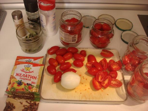 Bild tagen av författaren (tomater, lök och kryddor)