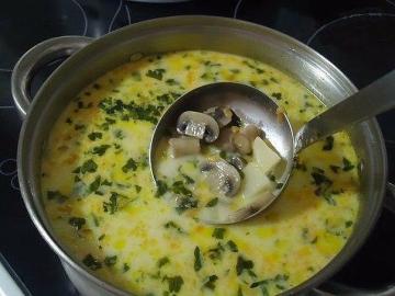 Ost soppa med svamp. Snabb och välsmakande