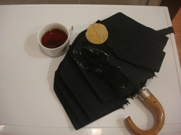 Bild tagen av författaren (torka med en bomullstuss med paraply svetsning)