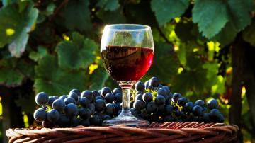 Vad är bra för hälsan rödvin