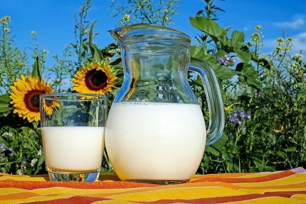 Bättre att köpa mjölk från privata gårdar (Foto: Pixabay.com)