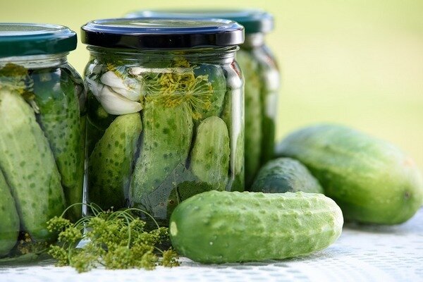 Använd inte något som innehåller farliga syror när du förbereder pickles (Foto: Pixabay.com)
