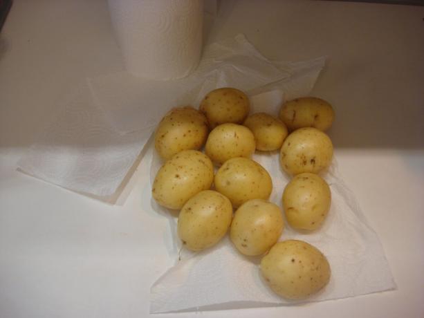 Bild tagen av författaren (tvättad potatis, bläddra till höger)