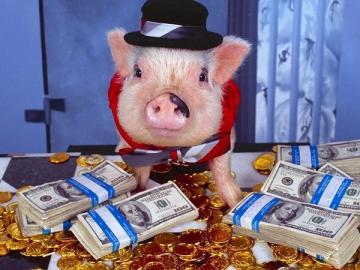 Nya 2019 Gula Pigs: hur man ska möta och att filen på bordet?