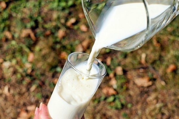 Men om du känner obehagliga känslor i magen eller tarmarna efter ett glas mjölk är det bättre att vägra det till förmån för jästa mjölkprodukter (Foto: Pixabay.com)