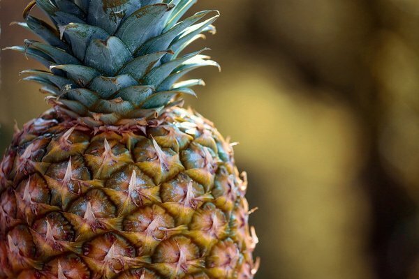 Ät ett par ananasskivor och vikten smälter. (Foto: Pixabay.com)