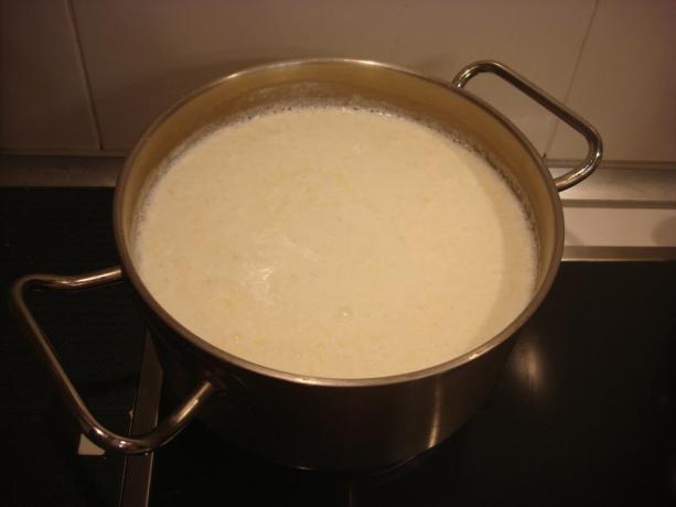 Bild tagen av författaren (mjölk och yoghurt i potten)
