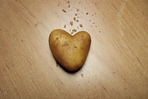 Potatis hjälper till med hjärtsjukdomar (Foto: Pixabay.com)