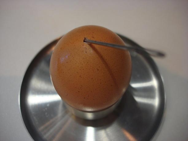 Foto av författaren (ägget genomborrad med en nål, bläddra till höger)