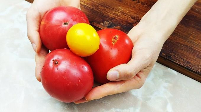 tomatberedning