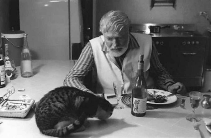 Ernest Hemingway har middag med katten.