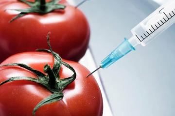 10 GMO-livsmedel vi äter och vet inte ens